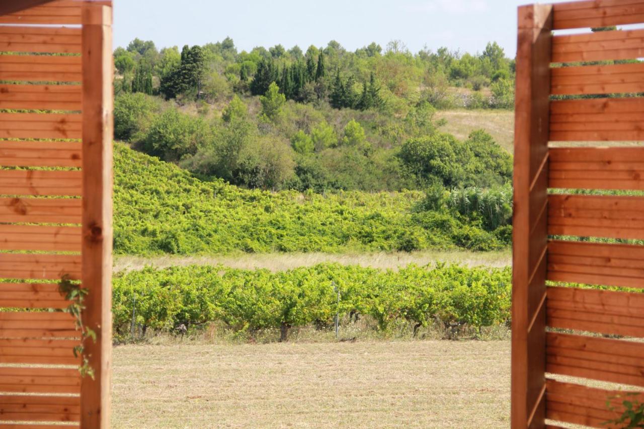 O'Vineyards B&B Carcassonne Villemoustaussou Exterior foto